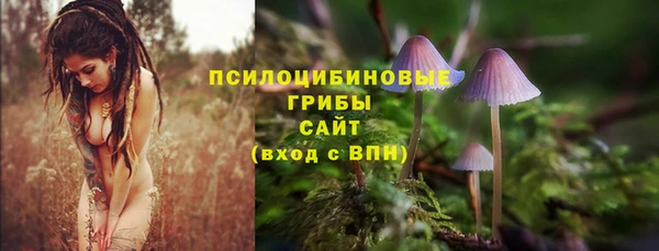 твердый Вяземский