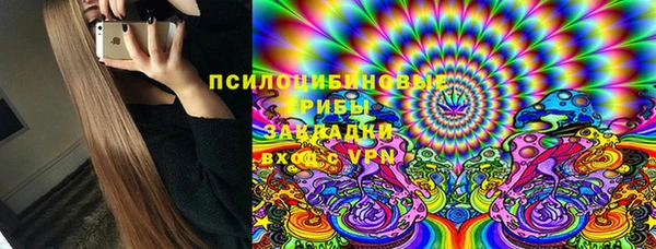 твердый Вяземский