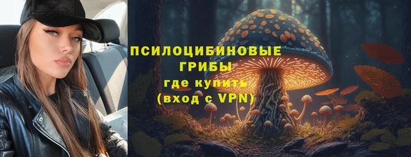 прущая мука Вязники