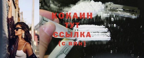 твердый Вяземский