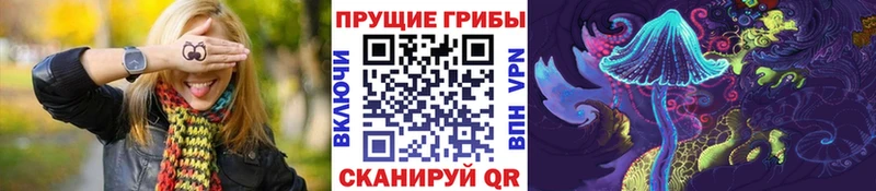 Купить где  Тейково  Псилоцибиновые грибы Cubensis 